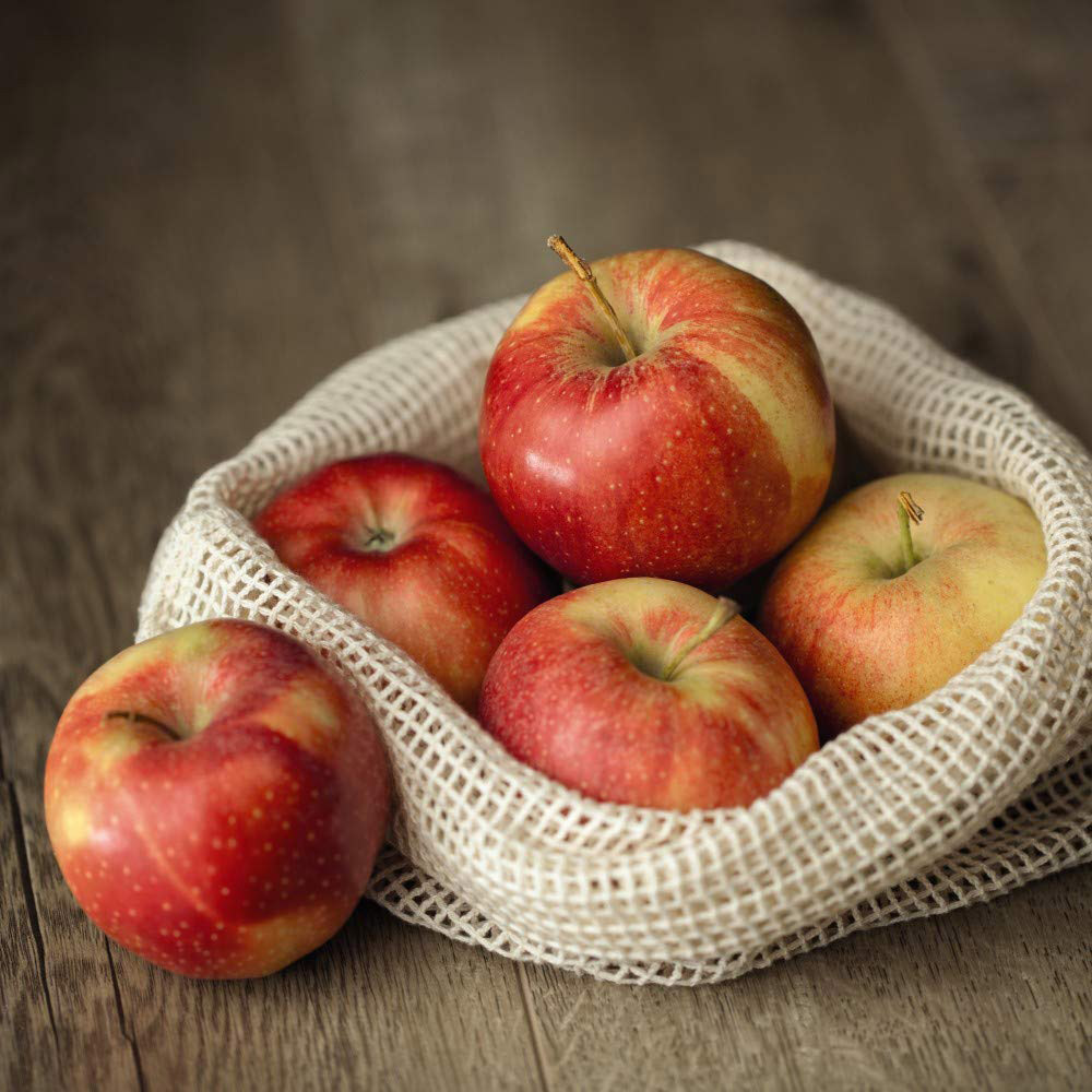 Thompson and Morgan Mini Apple Malus Gala Fruit Plant Pot 9cm Image 3