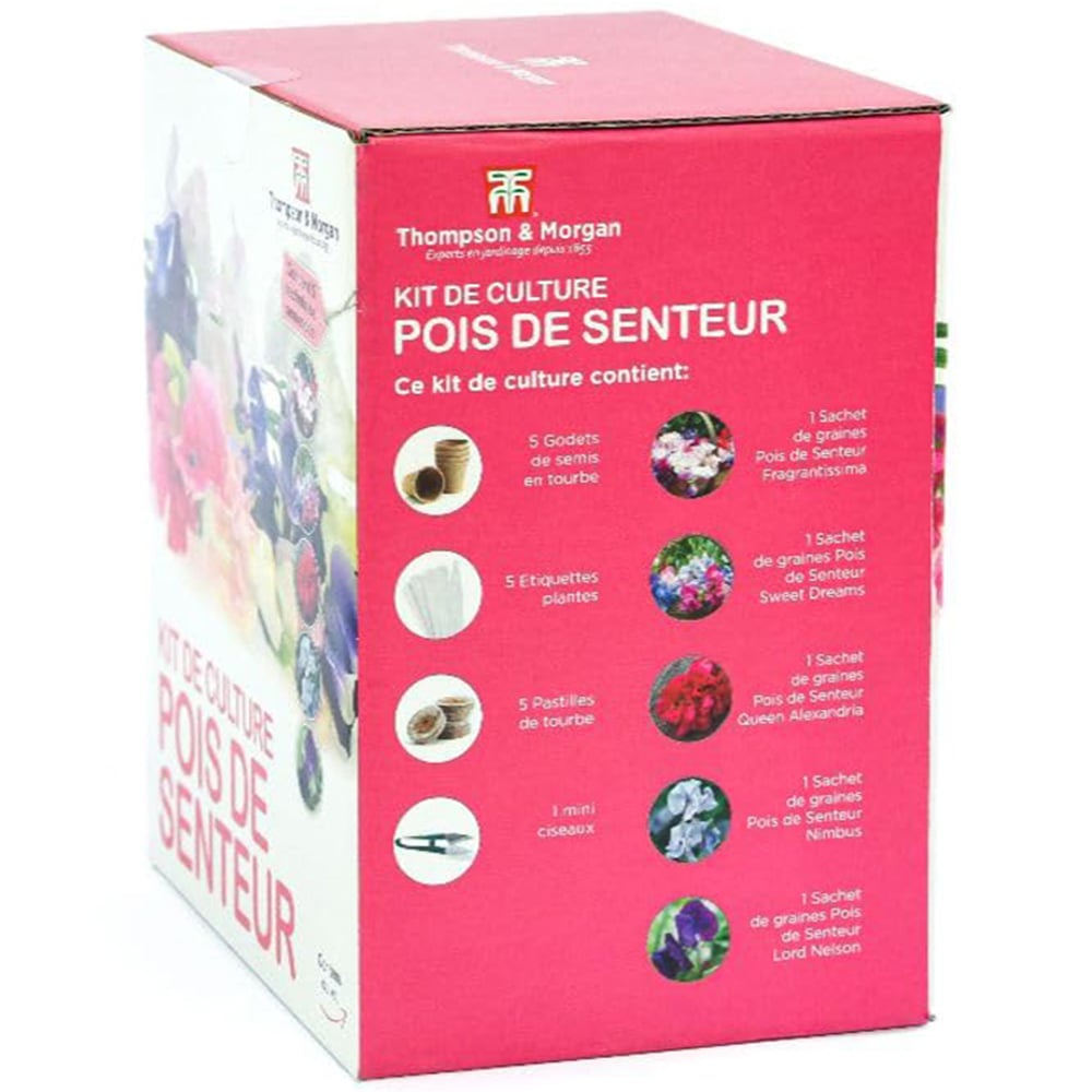 Thompson and Morgan Gift Sweet Peas Seed Grow Kit Image 3