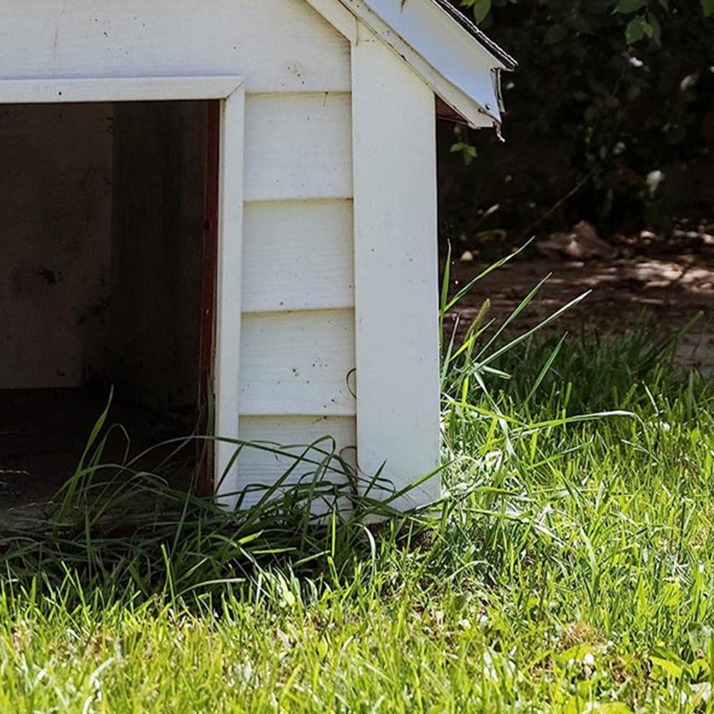 Ultima Plus XP Cherry Fragrance Kennel Kleen Cleaner 15L Image 2