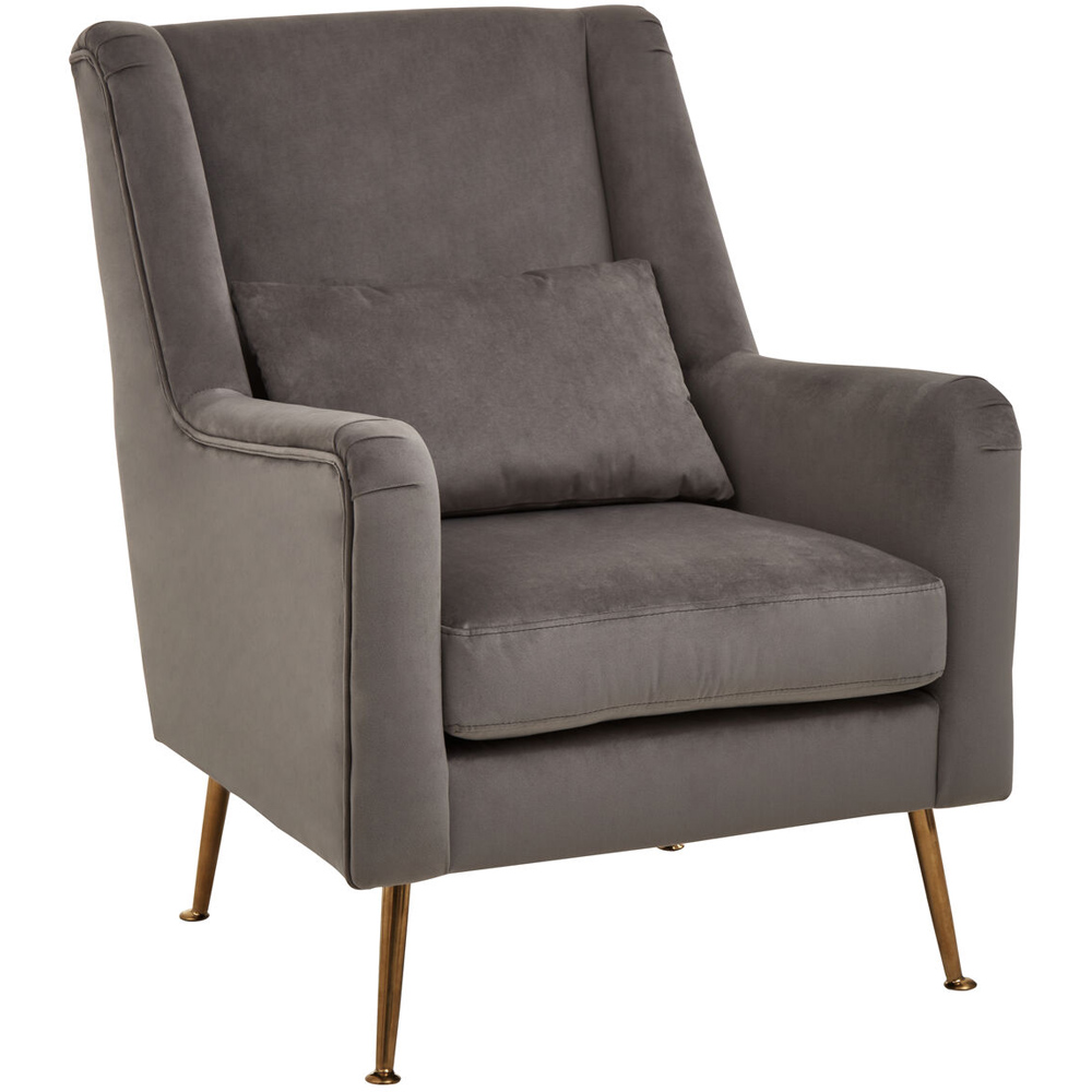 Premier Housewares Doucet Grey Velvet Chair with Gold Legs Image 4