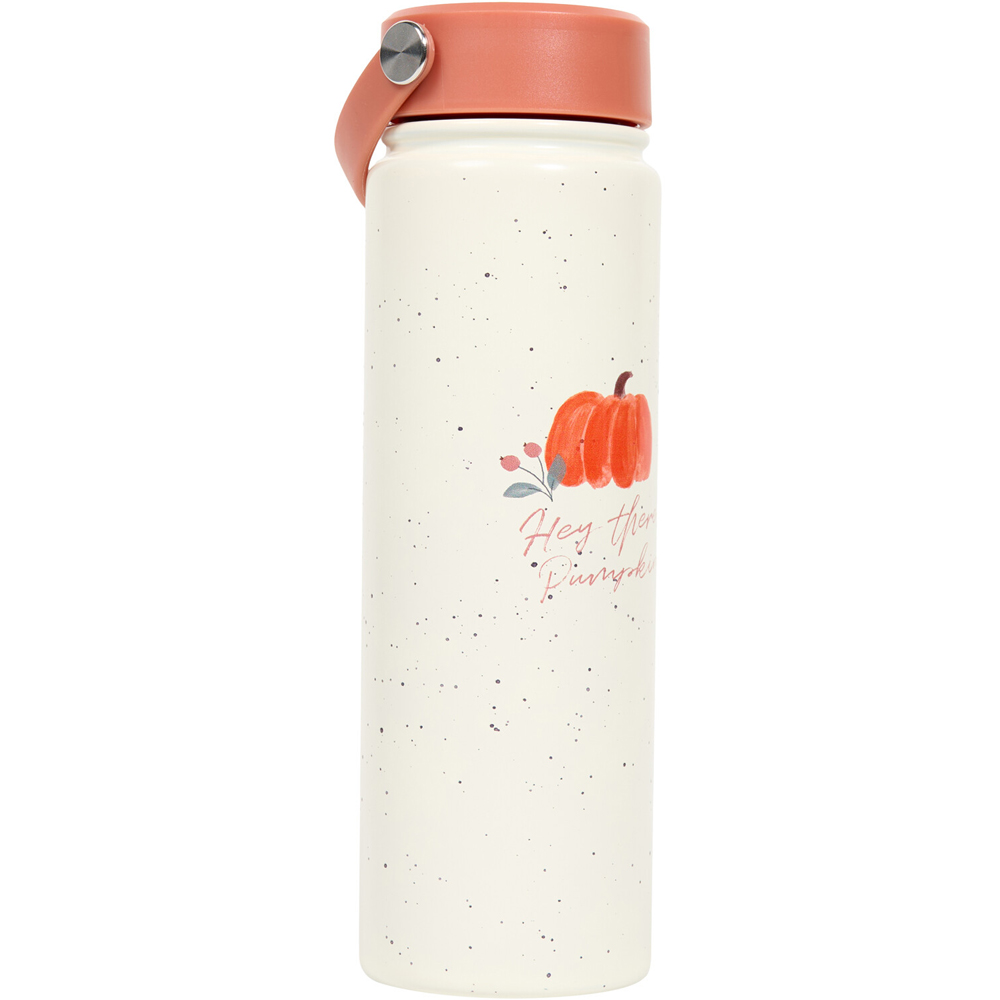 Autumn 2-in-1 Stainless Steel Flask and Bottle Image 3