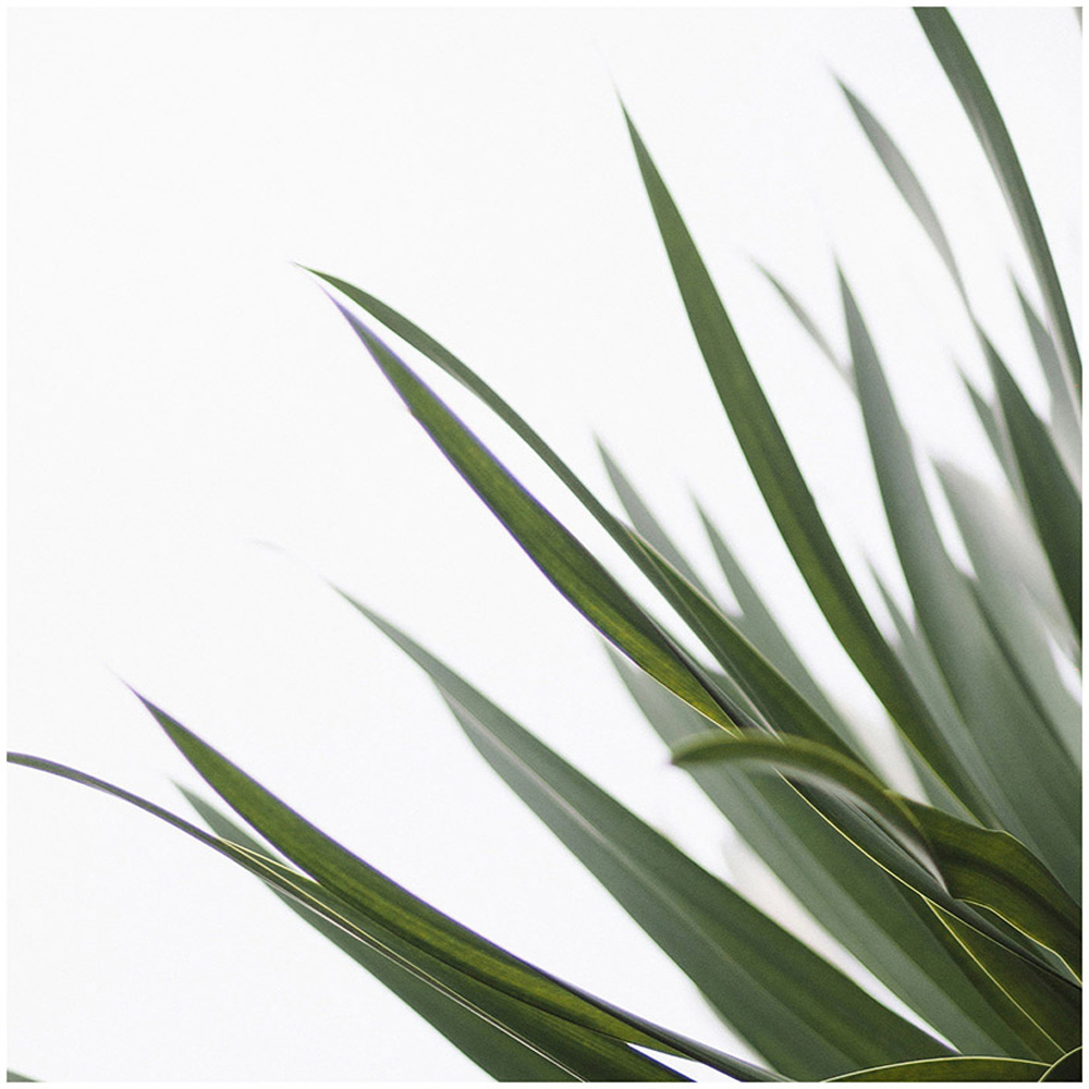 Mirrorstone Nexus 350W Minimal Leaf Wi-Fi Infrared Heating Panel 595 x 595mm Image 4