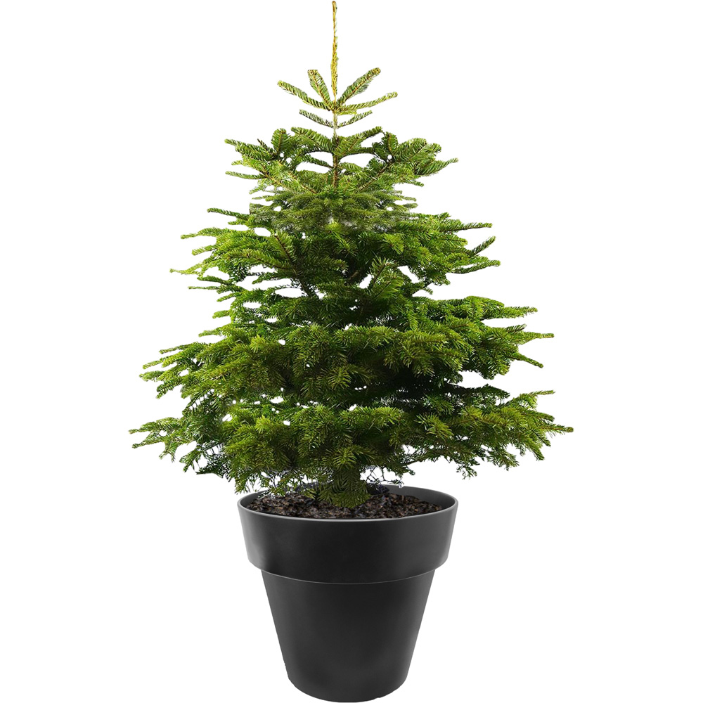 Primeur Tierra Verde Baritone Slate Planter 40cm 2 Pack Image 3