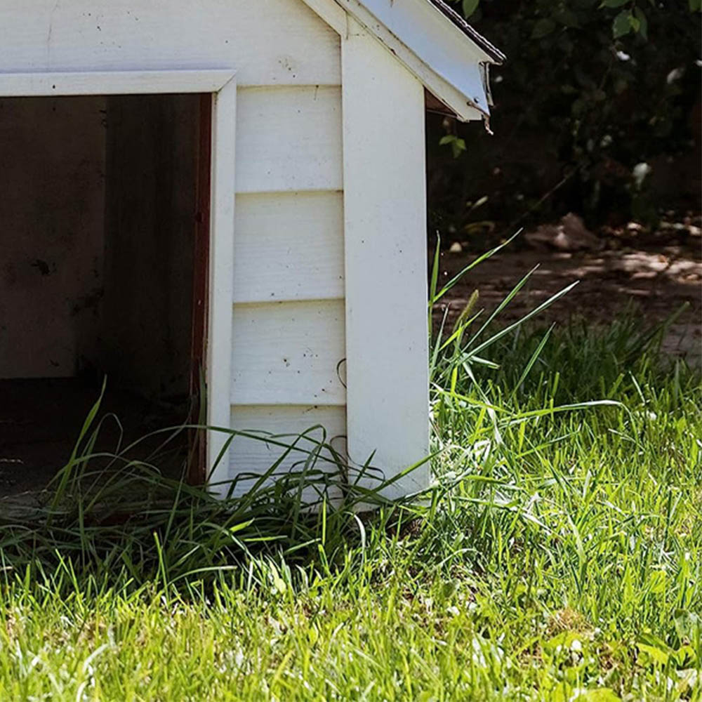 Ultima Plus XP Cherry Fragrance Kennel Kleen Cleaner 5L Image 2