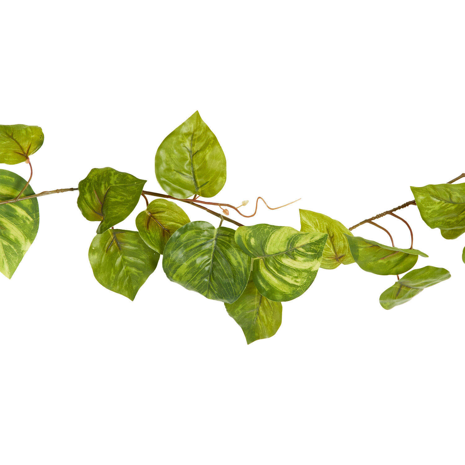 Pothos Garland - Green Image 3