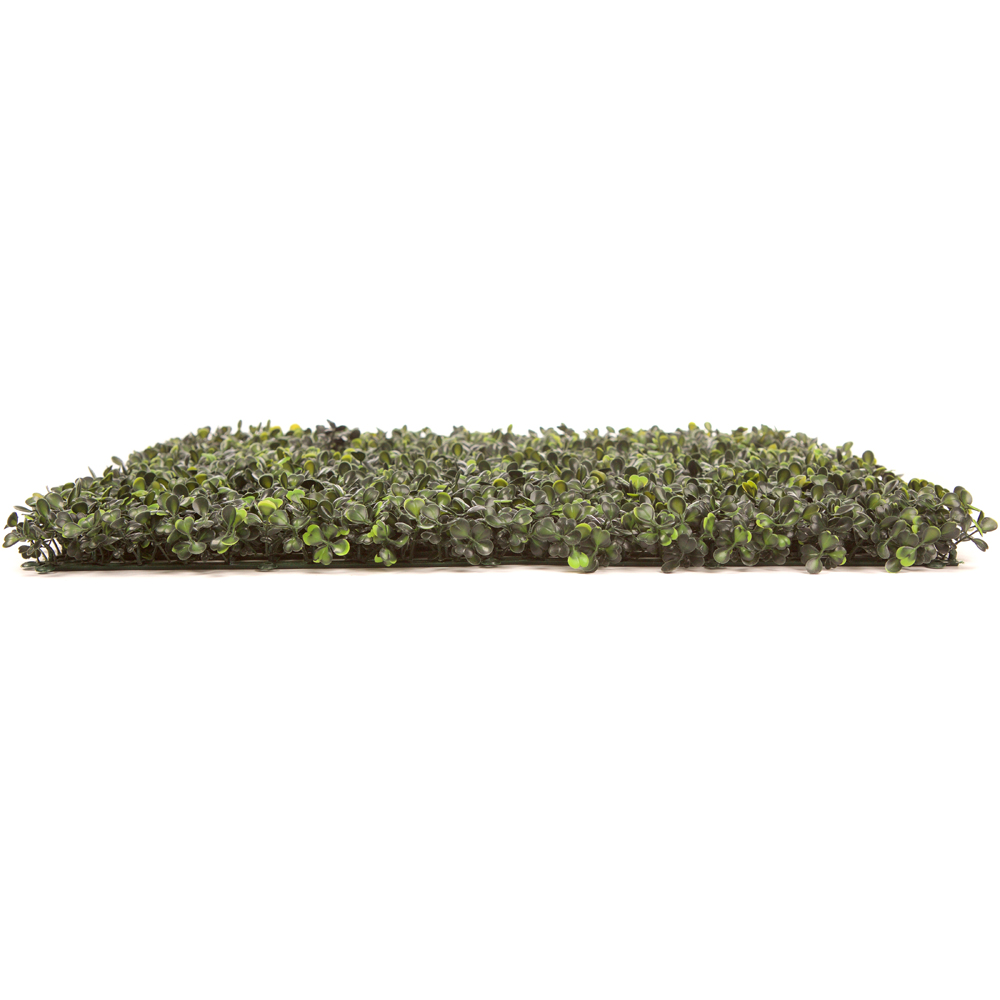 Pack of 12 50cm x 50cm Boxwood Hedging Mat Image 3