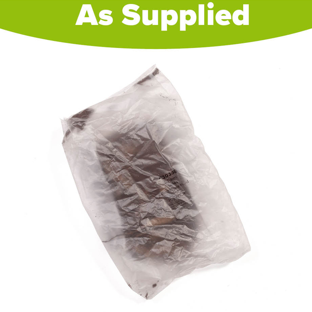 YouGarden Dahlia Patio Choice Mixed Tuber 10 Pack Image 2