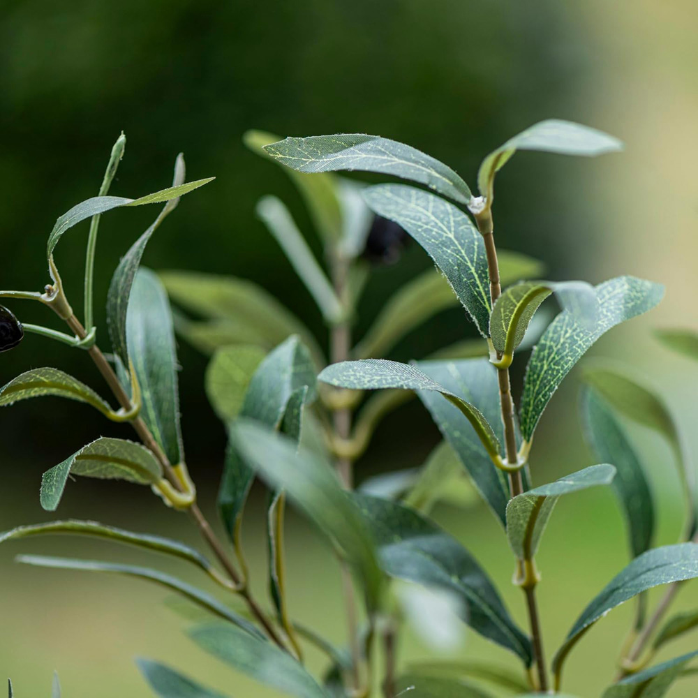 Thompson and Morgan Artificial Olive Tree Plant Pot 150cm Image 4