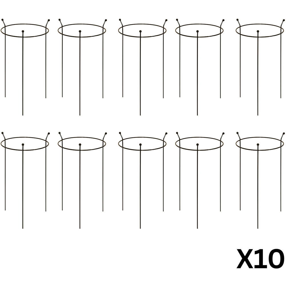 Samuel Alexander Steel Black Herbaceous Garden Plant Support Ring 60 x 35cm 10 Pack Image 3