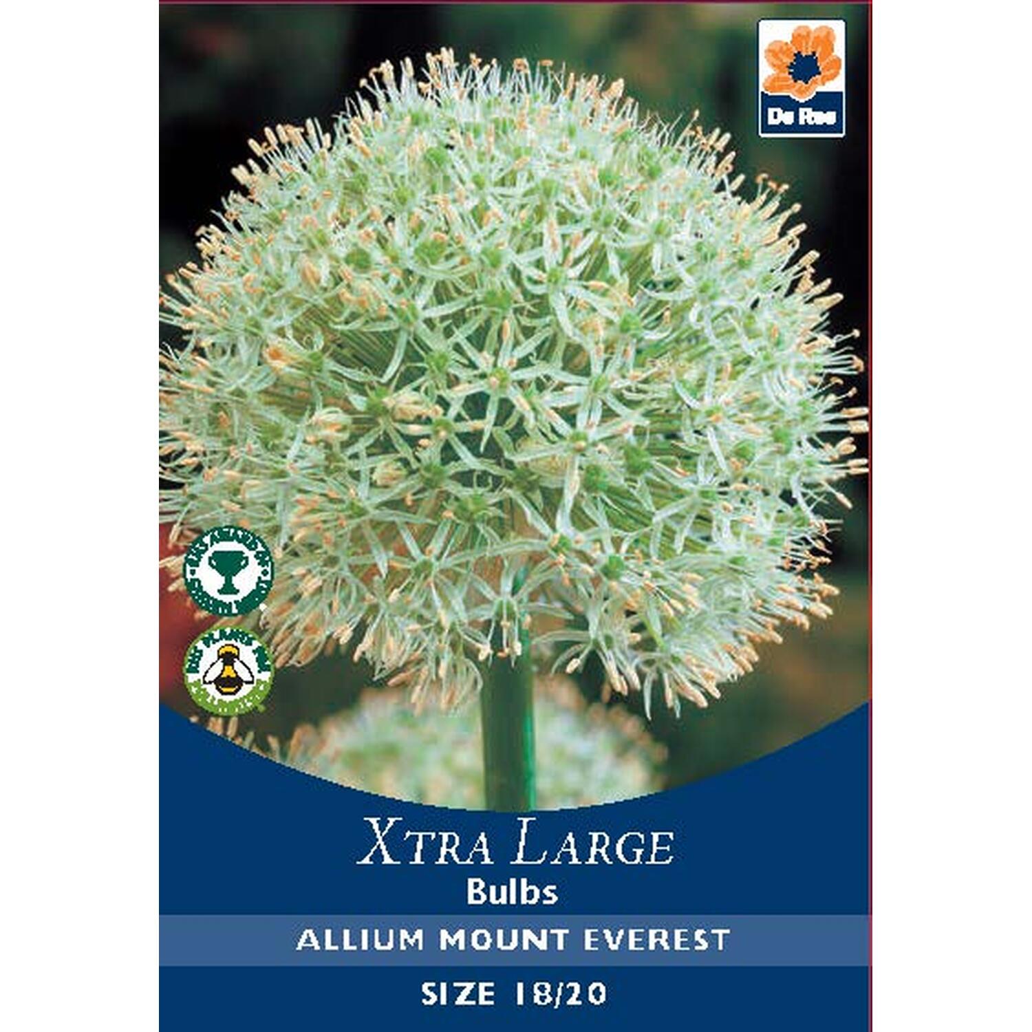 Extra Large Bulb Collection Image 22