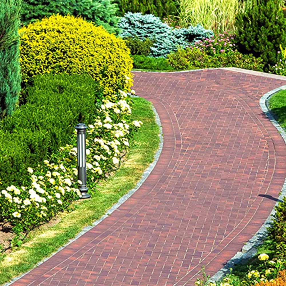 Ultima Plus XP Black Spot Remover 15L Cleaning Liquid 5L 3 Pack Image 2