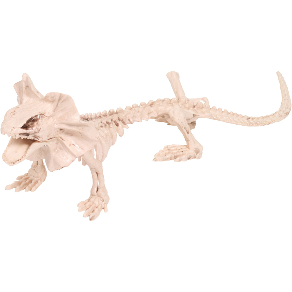 Skeleton Lizard Decoration Neutral Image 4