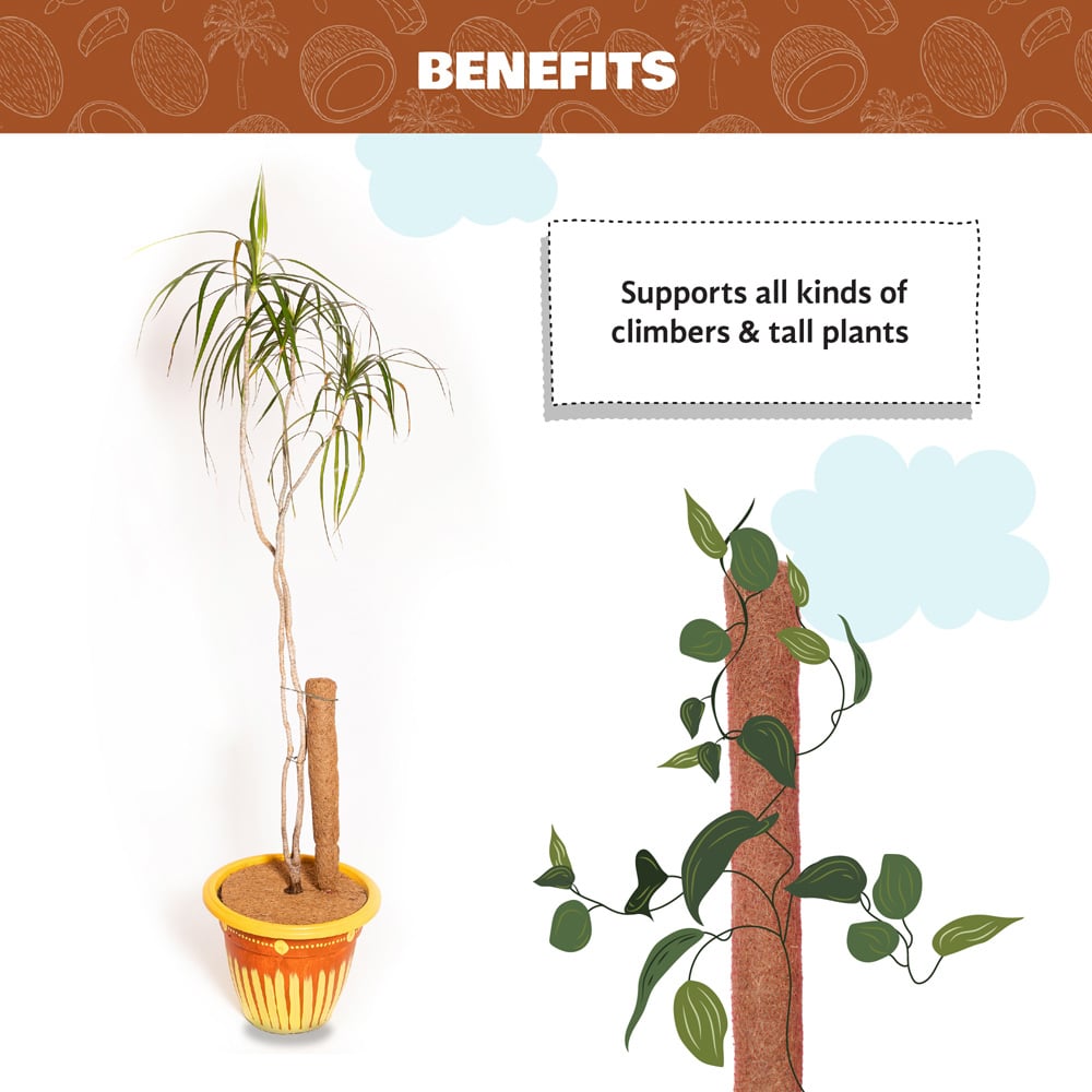 Coco & Coir Coco Stik 60cm Image 4