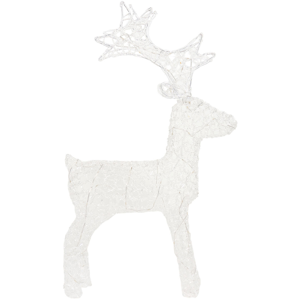 60 LED Acrylic Stag Image 4