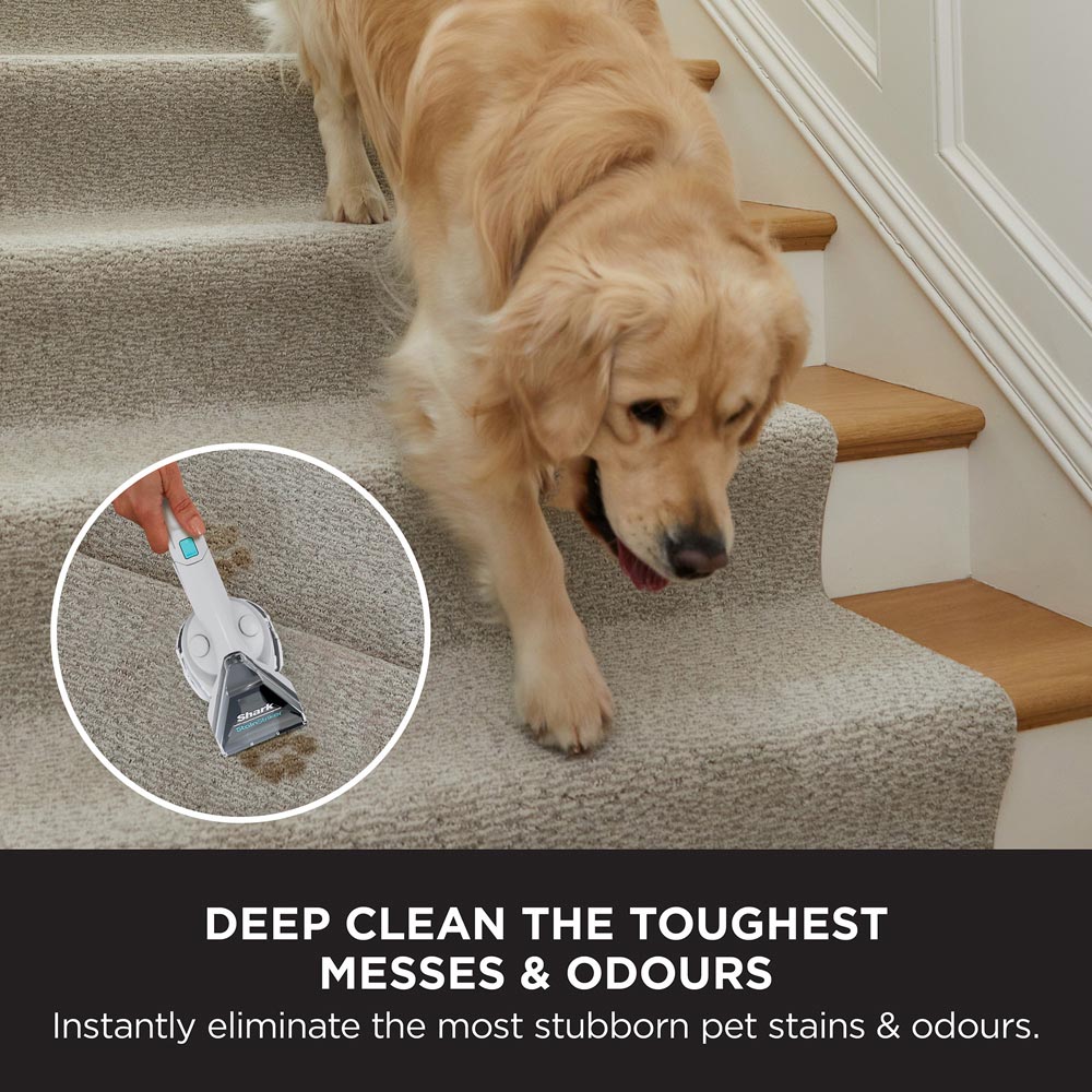 Shark CarpetXpert Deep Carpet Cleaner with StainStriker Image 6
