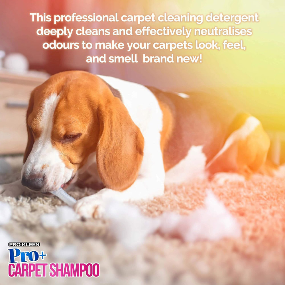 Pro-Kleen Pro Plus Ocean Fresh Pet Carpet Shampoo 5L Image 3