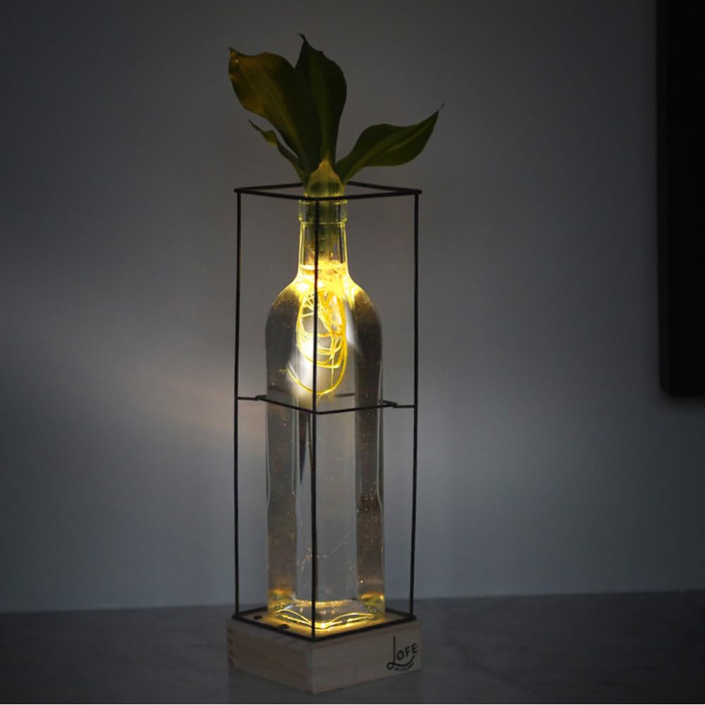 Thompson and Morgan Rooted Hydroponic Plant in Glass Vase with Wooden and Metal Stand Image 3