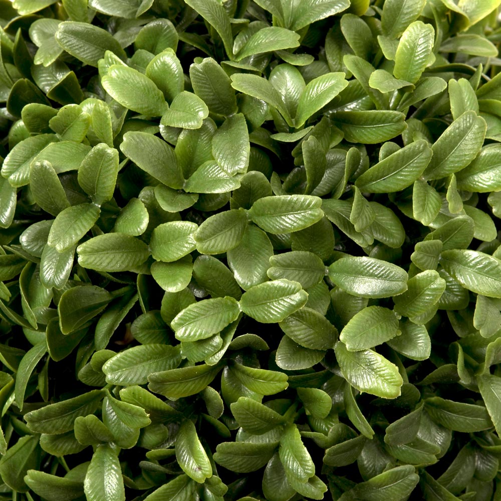 GreenBrokers Artificial Boxwood Triple Bay Ball in Rustic Window Box 54cm Image 3