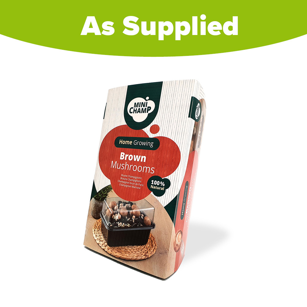 YouGarden Brown Mushroom Grow Kit 3L Image 4