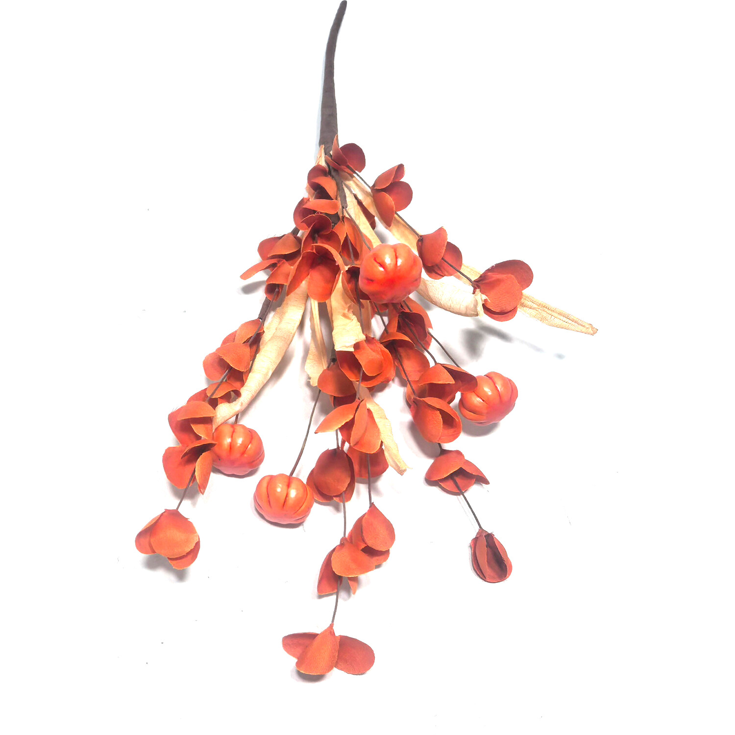 Autumn Pick Image 2