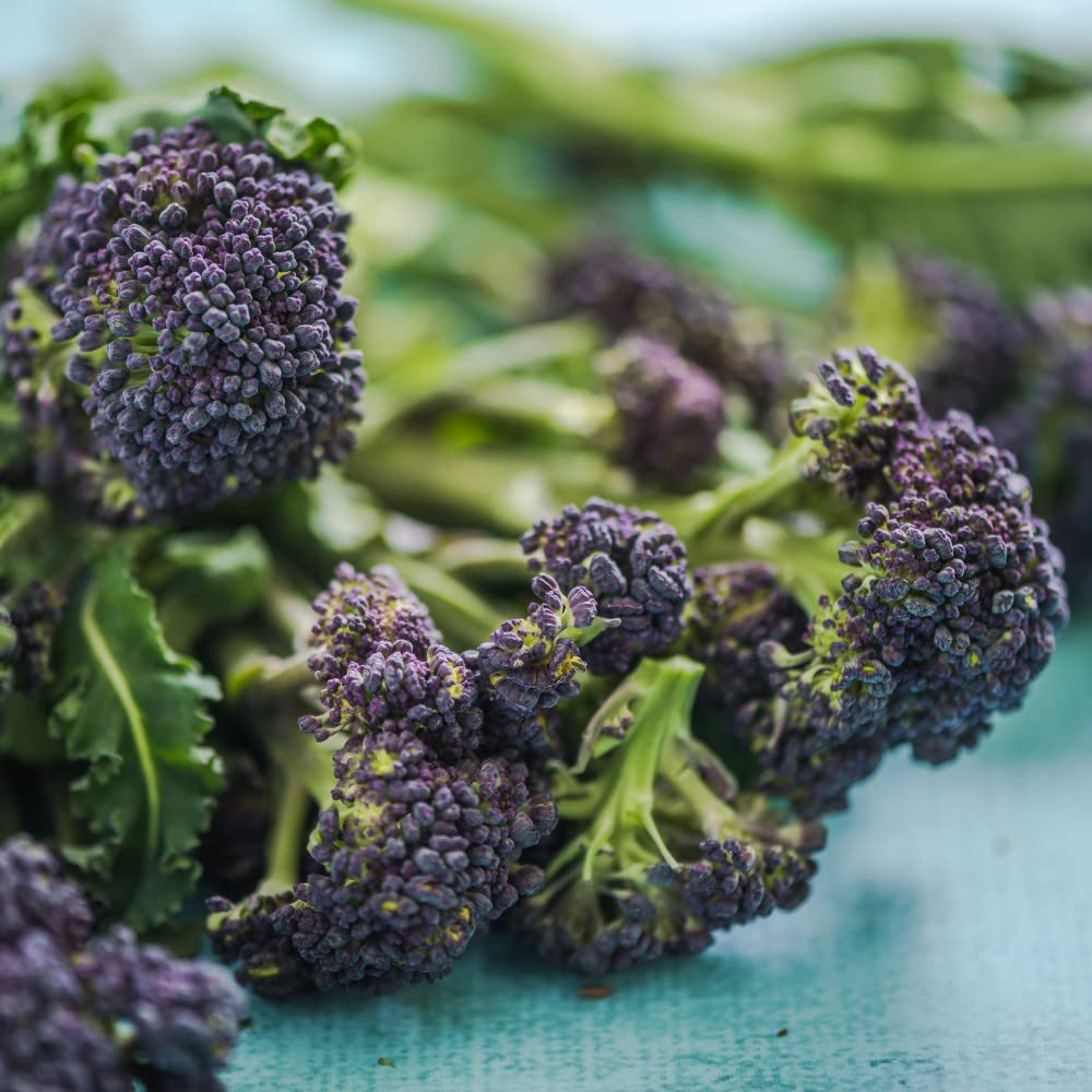 Thompson & Morgan Sprouting Broccoli Continuity Collection Postiplugs 18 Pack Image 5