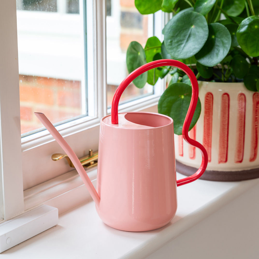Burgon & Ball Blush Galvanised Steel Indoor Watering Can with Scalloped Handle 1.2L Image 2