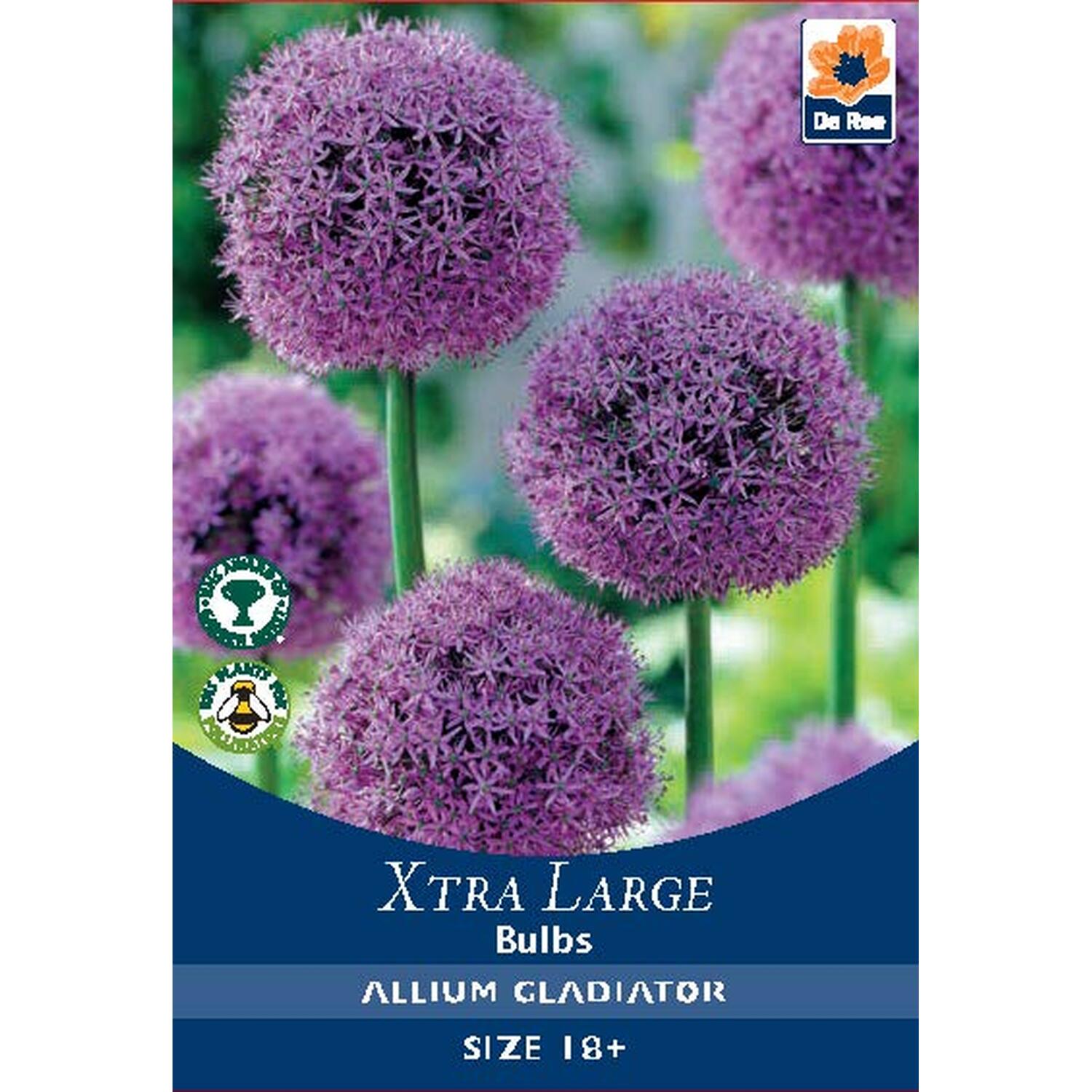 Extra Large Bulb Collection Image 20