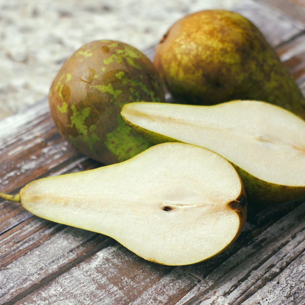 Thompson & Morgan Pear Pyrus Conference Patio Standard Quince C Potted Plant 5L Image 4