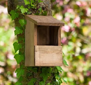 Bird Boxes