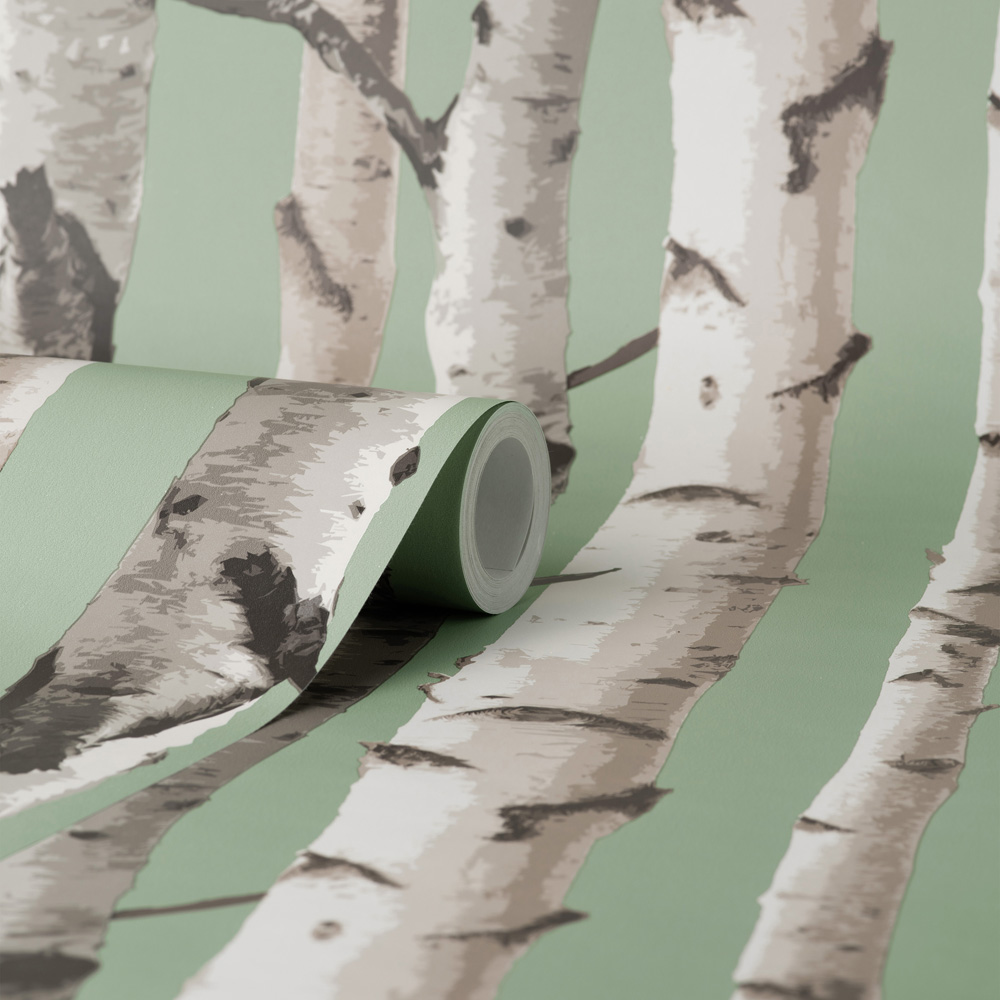 Fine Decor Birch Trees Sage Wallpaper Image 2