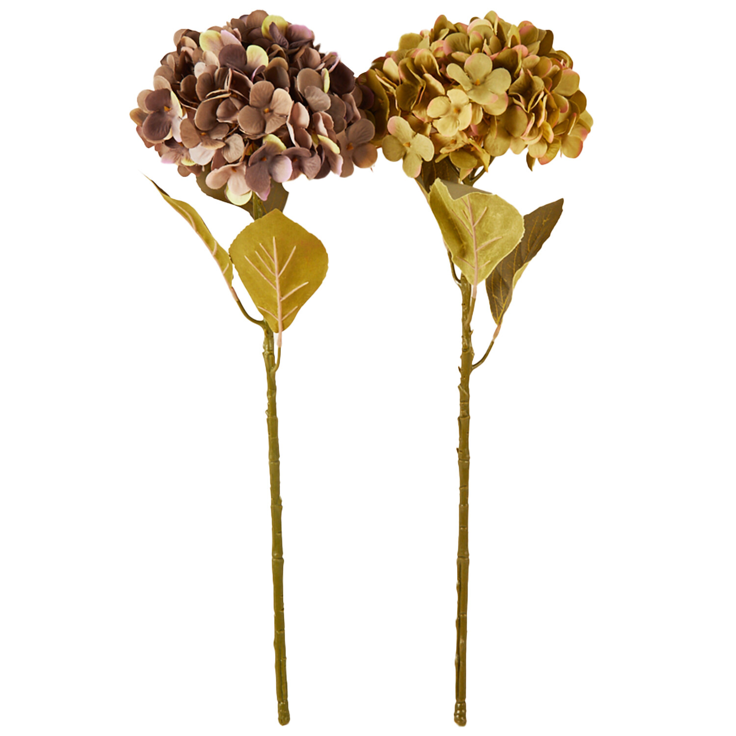 Assorted Hydrangea Stem - Purple or Green Image 5