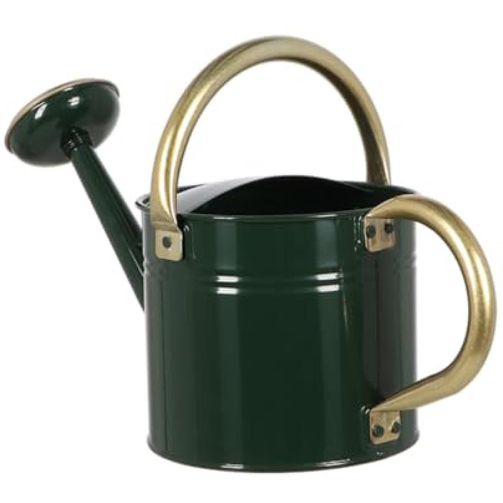 Fallen Fruits Small Watering Can with Round Handle Image 3