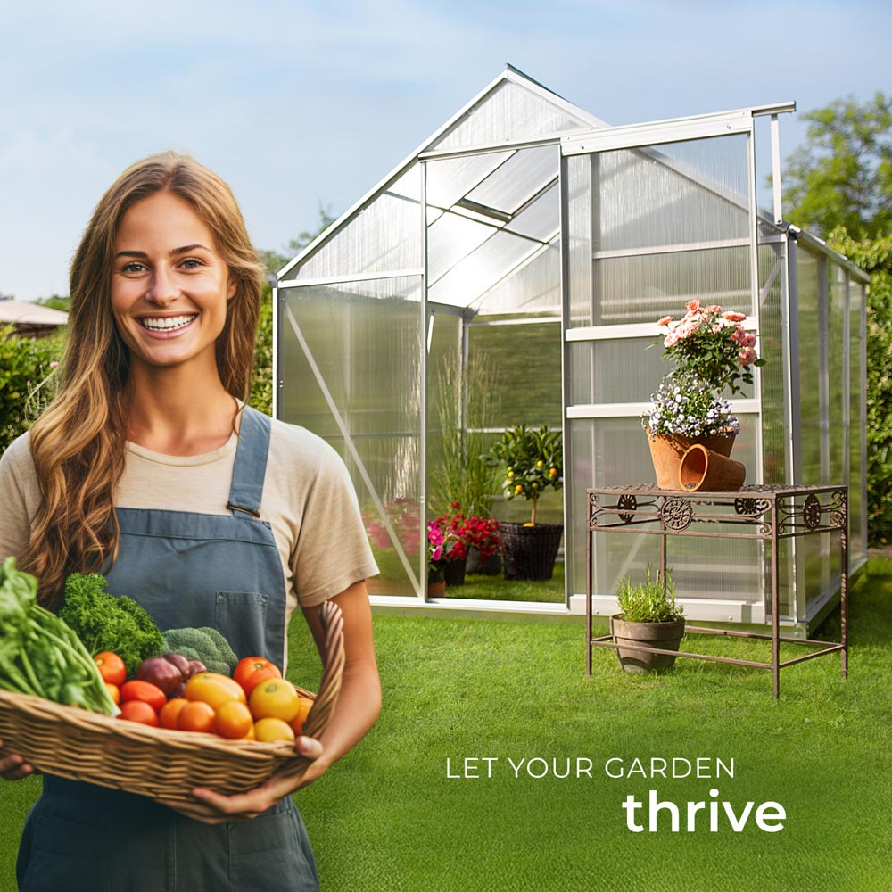 tectake Clear Aluminium 6 x 6.2ft Greenhouse Image 8