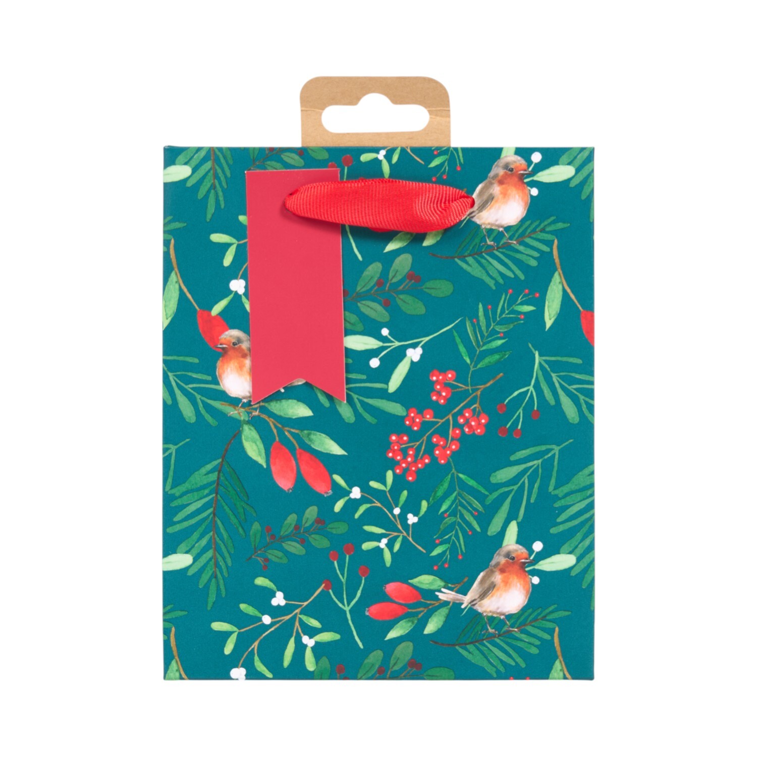 Robin Gift Bag Small Image 10