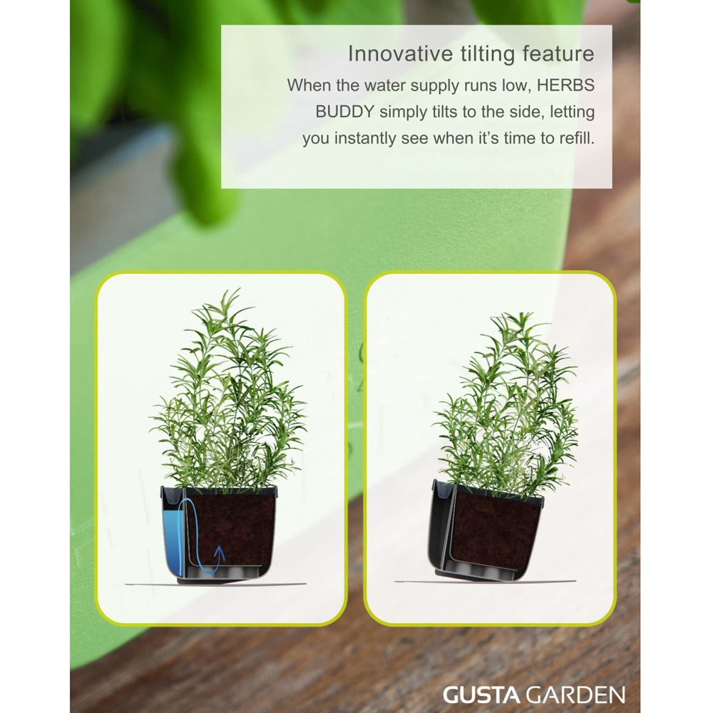 Gusta Garden Herbs Buddy White Self Watering Herb Pot with Water Reservoir 3 Pack Image 5