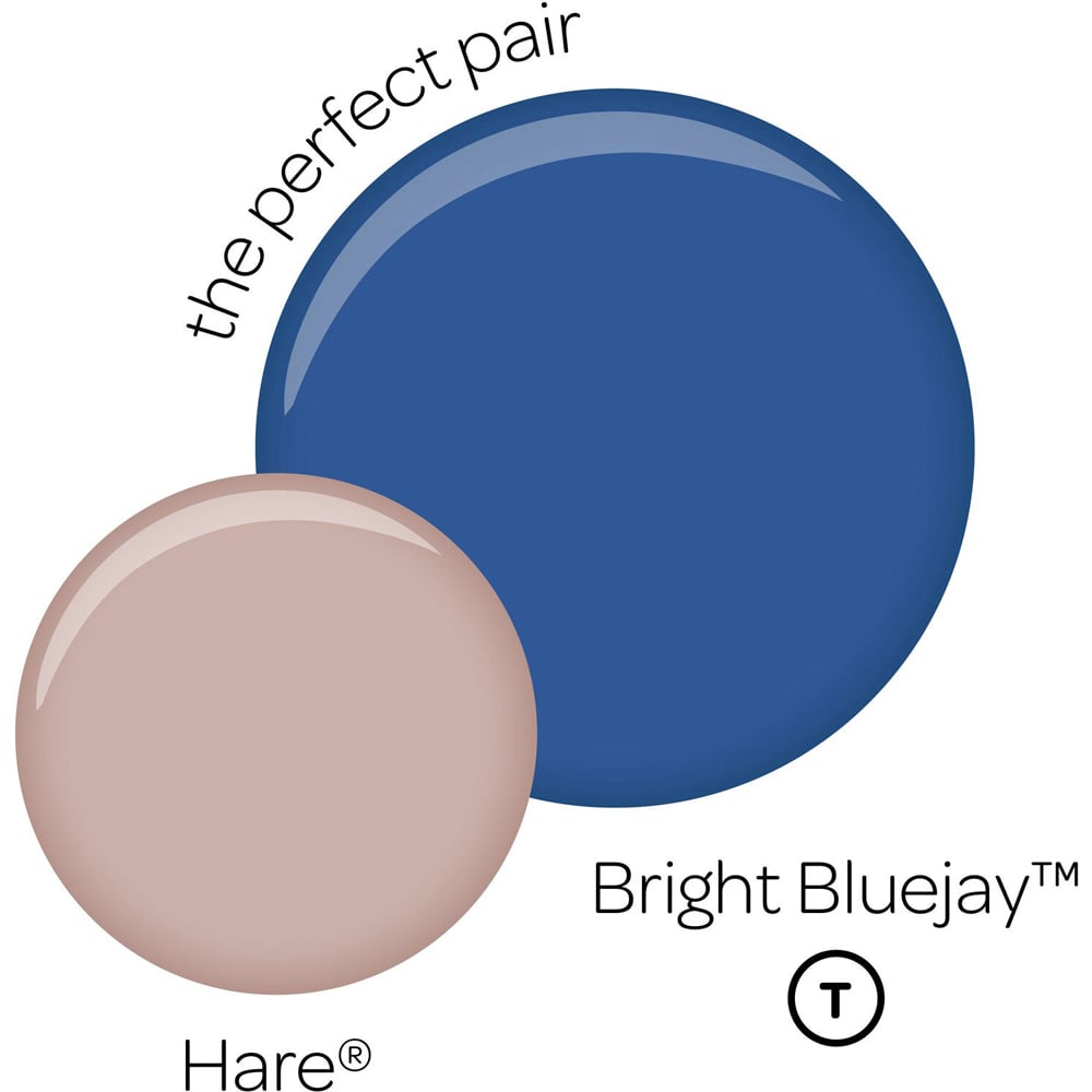 Crown Walls and Ceilings Bright Bluejay Matt Emulsion Paint 2.5L Image 9