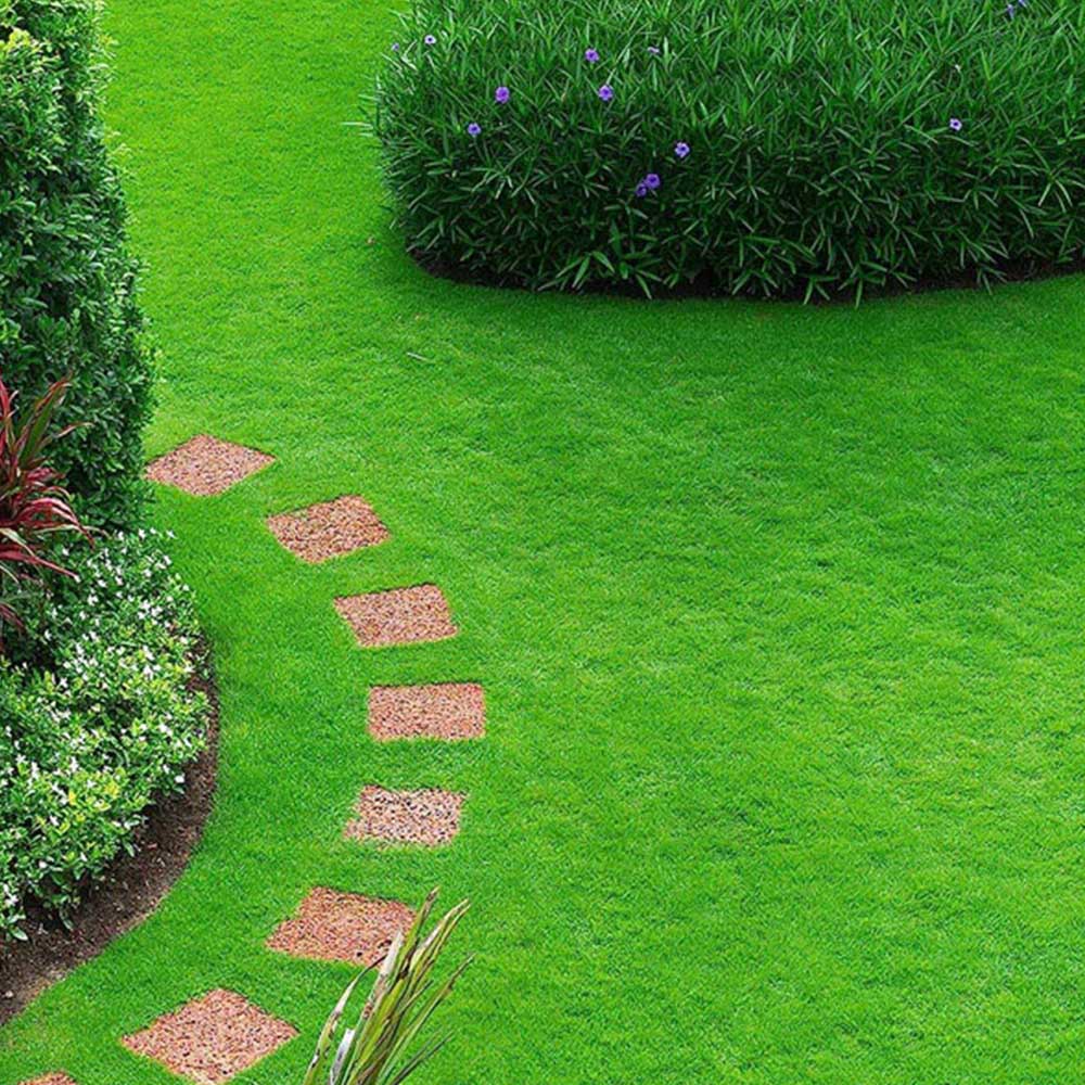 Pro-Kleen Pre Lawn and Seed Starter Fertiliser 5kg 2 x 2.5kg Image 2
