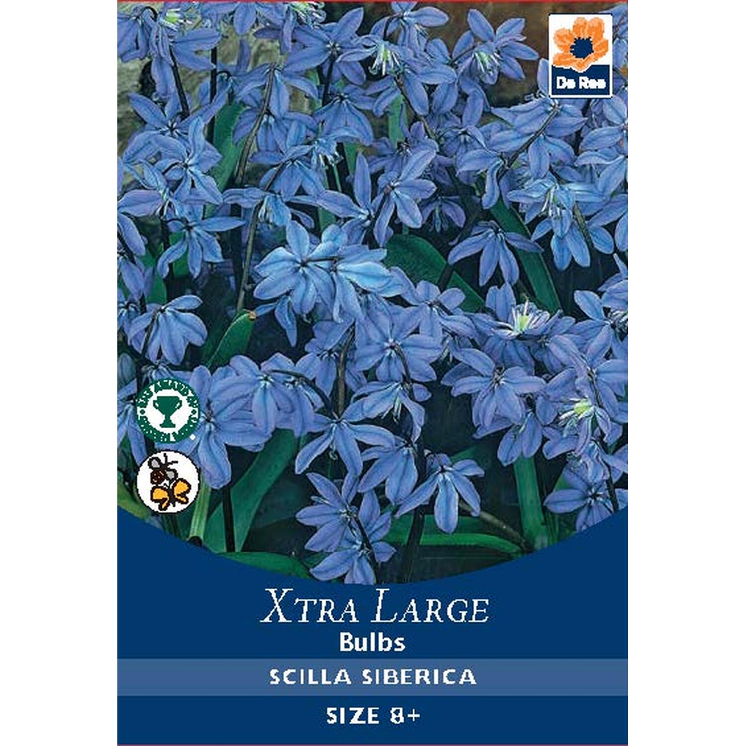 Extra Large Bulb Collection Image 9