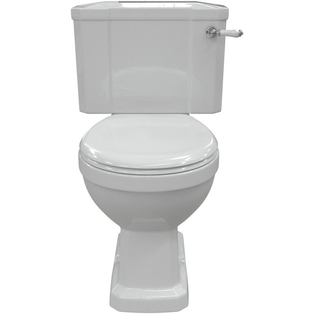 Bathstore Pelosa Close Coupled WC and Standard Soft Close Seat with Dual Flush and Brass Hinges Image 3