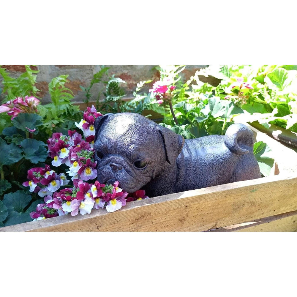 Inspirational Gifting Pug Dog Polystone Resin Garden Ornament Image 5