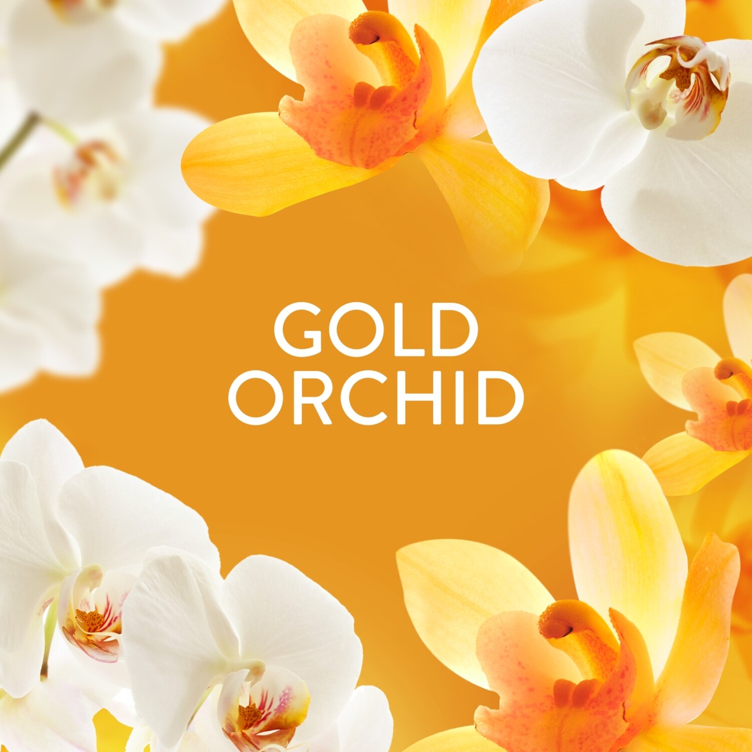 Lenor In Wash Scent Booster Beads 495g Gold Orchid Image 3