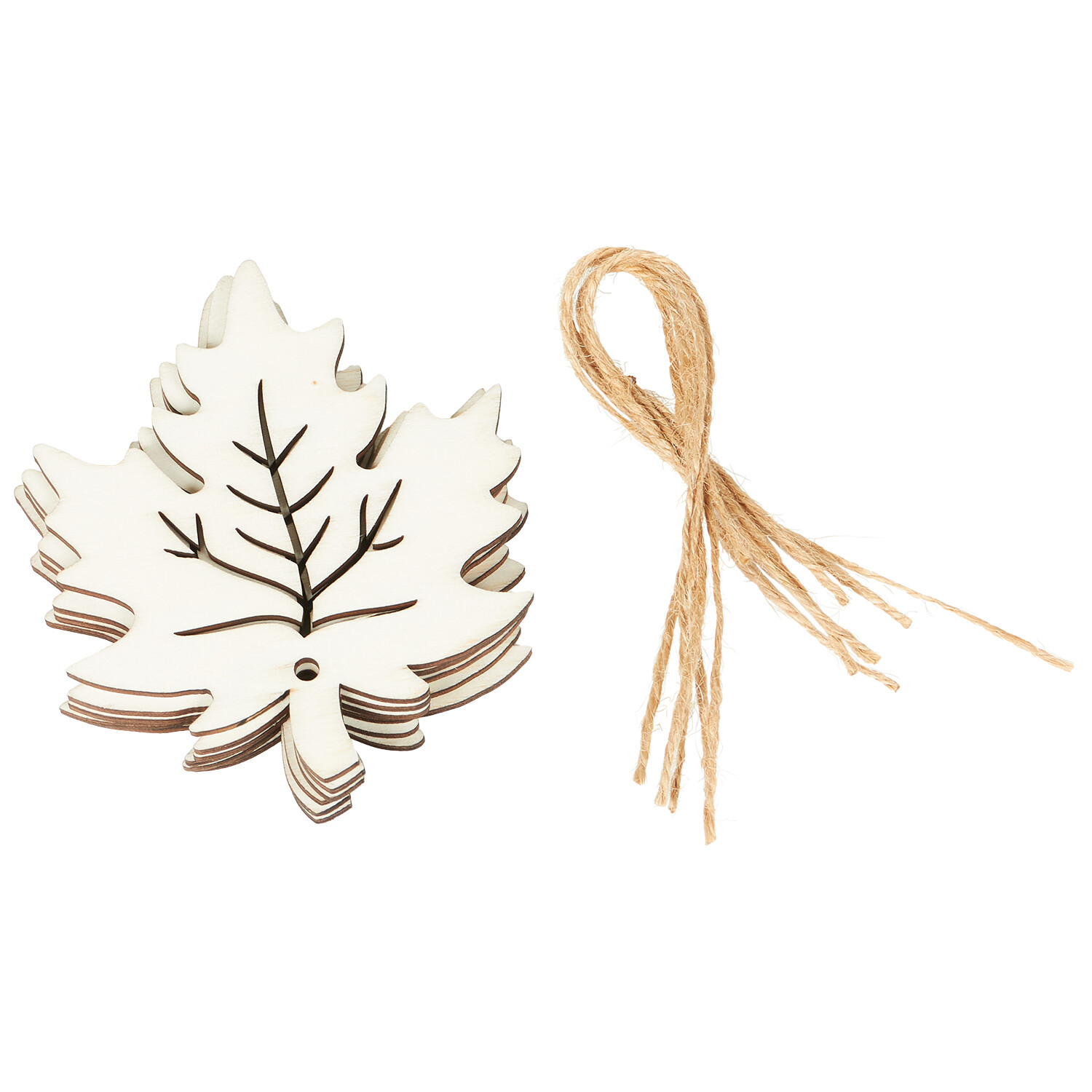 Pack of 6 Hanging Autumn Shapes Image 4
