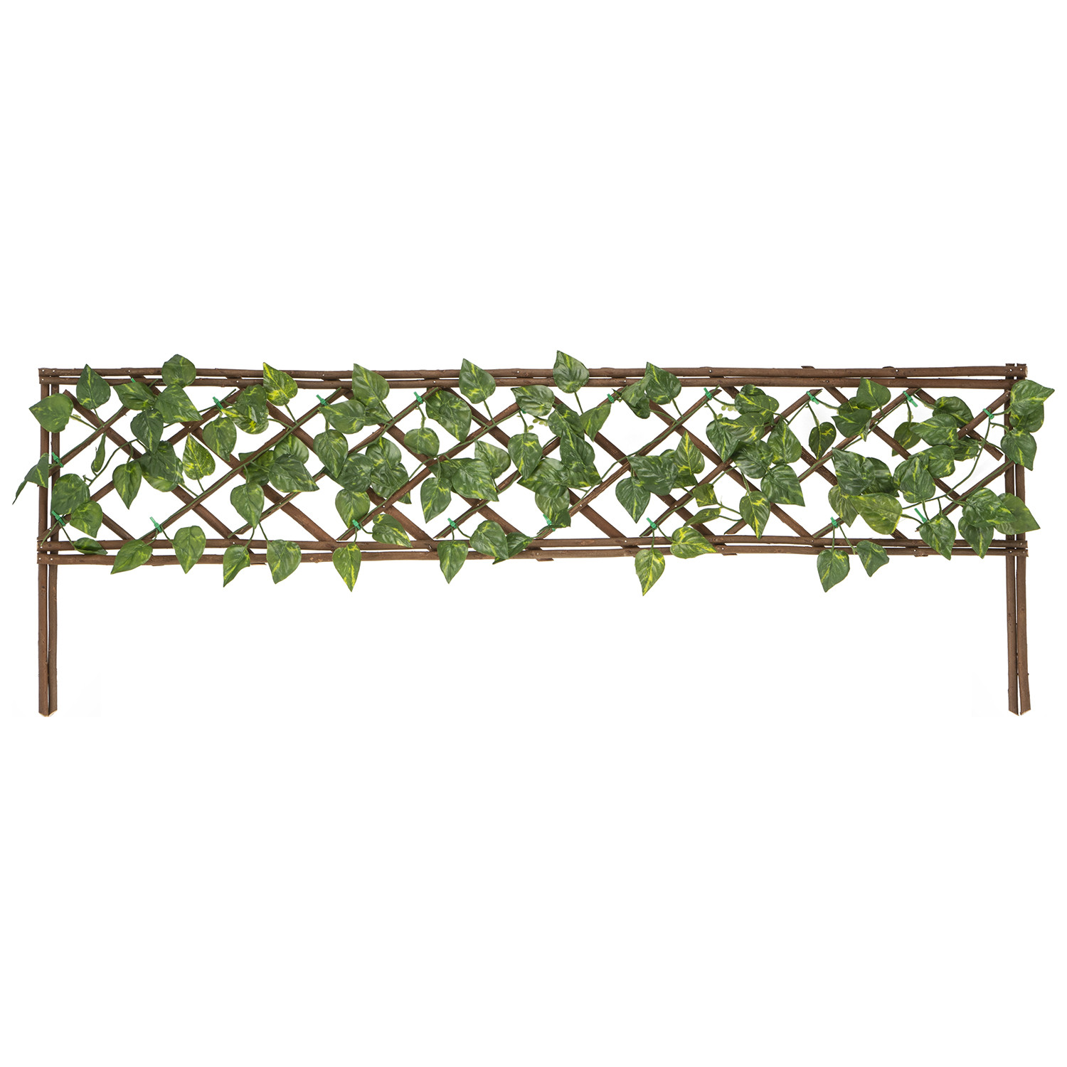 Willow Border Edging With Leaves Image 1