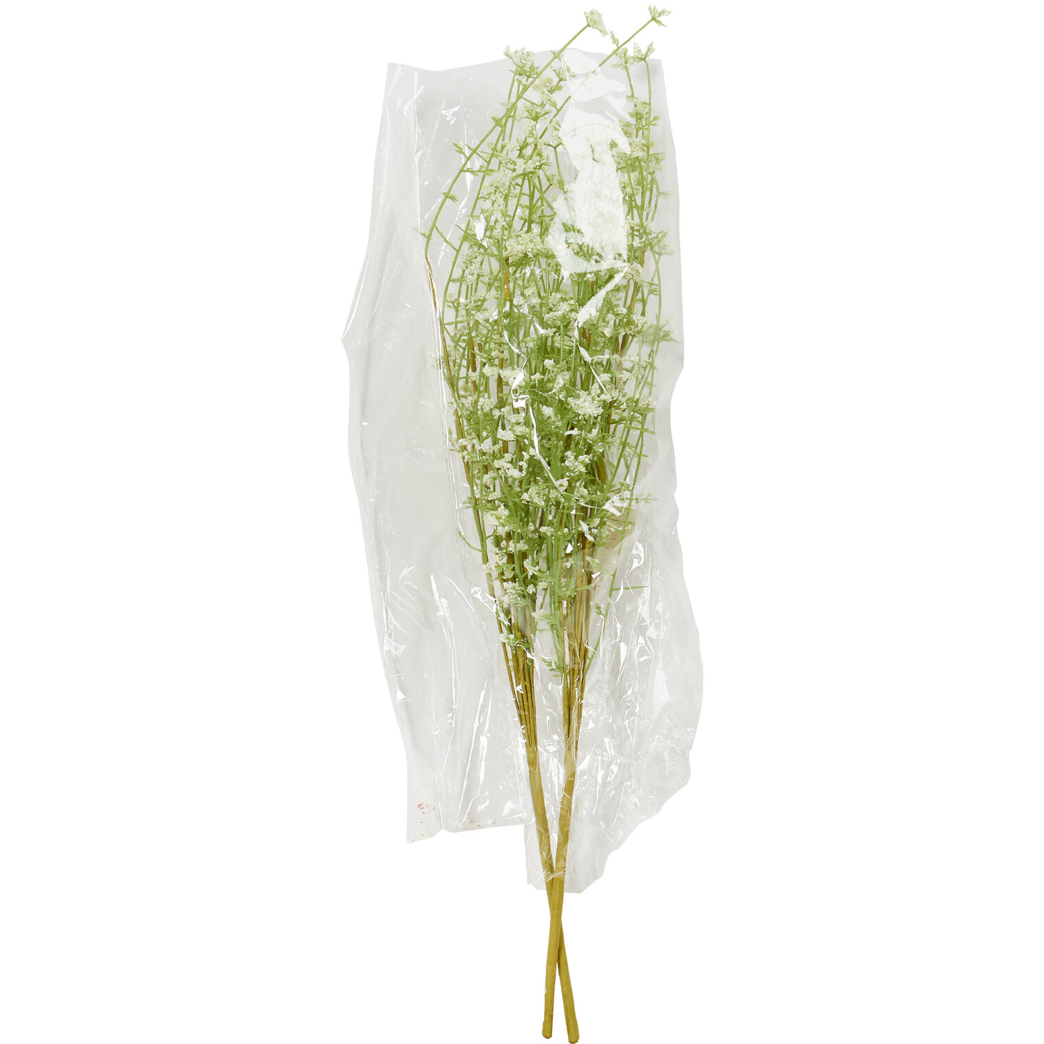 Spring Gypsophila Spray Image 8