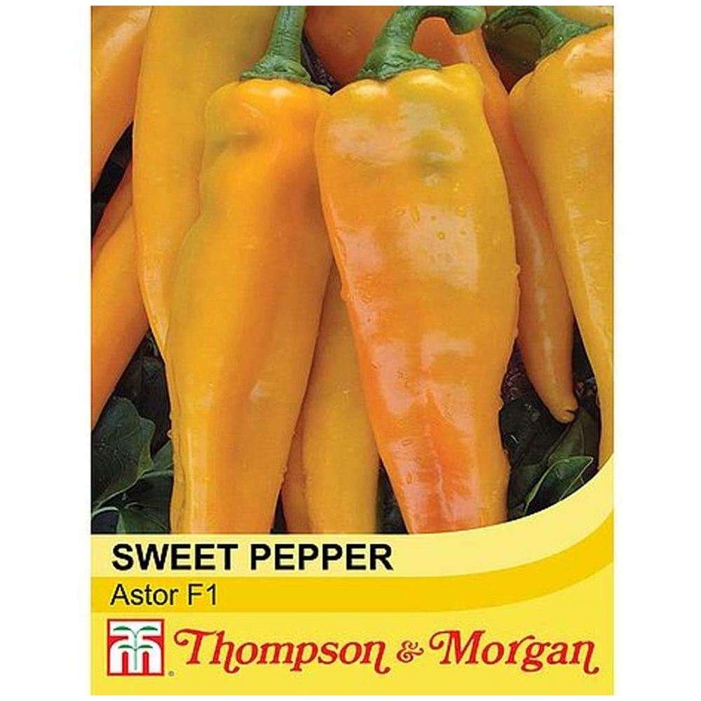 Thompson and Morgan Pepper Sweet Astor F1 Hybrid Seeds Image