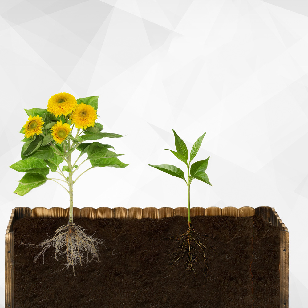 Outsunny Fir Plant Pot Image 5