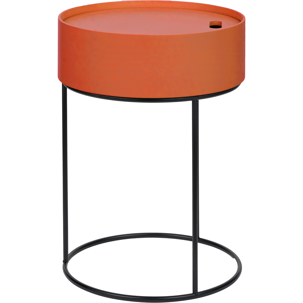 Pacific Lifestyle Hugo Tobacco Wood Veneer and Black Metal Storage Table Image 2