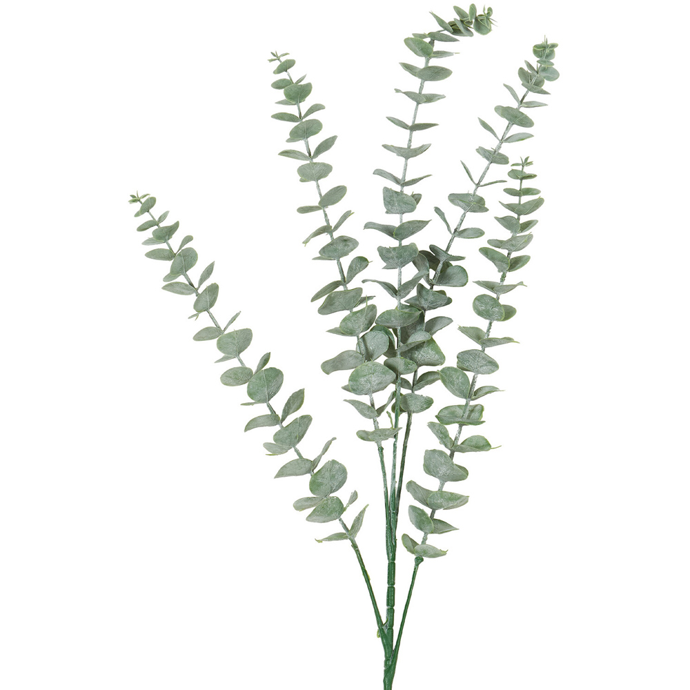 Dusted Eucalyptus - Green Image 7