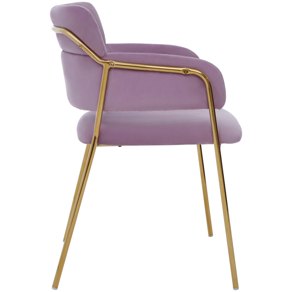 Premier Housewares Tamzin Gold and Pink Velvet Dining Chair Image 4