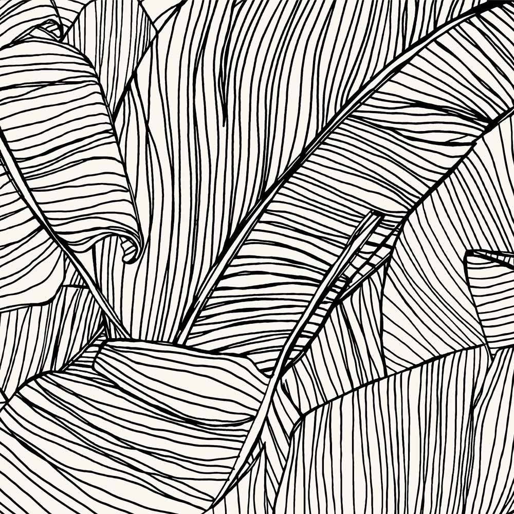 Superfresco Easy Kaya Mono Wallpaper Image 3